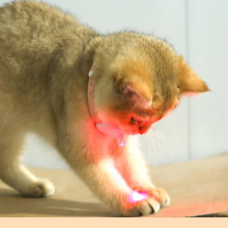 Interactive Rechargeable Laser Cat Collar - Auto Infrared Teaser Toy for Happy, Relaxed Kittens