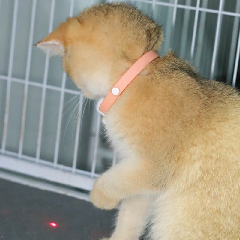 Interactive Rechargeable Laser Cat Collar - Auto Infrared Teaser Toy for Happy, Relaxed Kittens