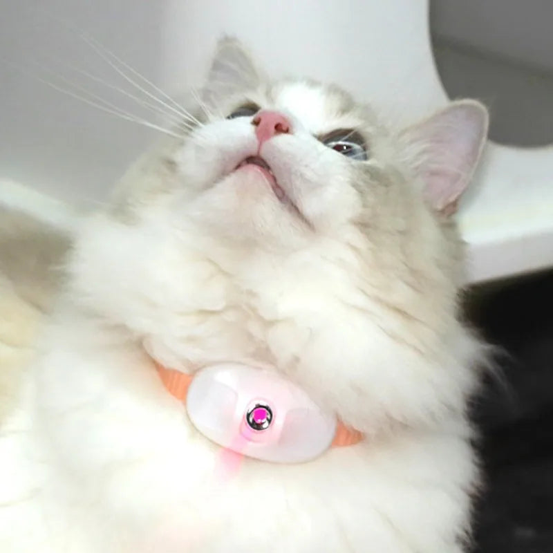 Interactive Rechargeable Laser Cat Collar - Auto Infrared Teaser Toy for Happy, Relaxed Kittens